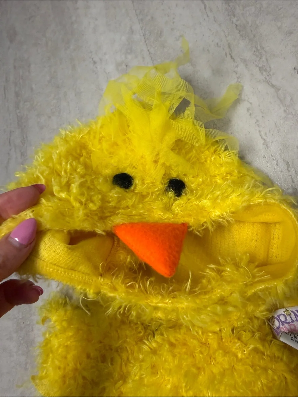 Princess Paradise baby chick